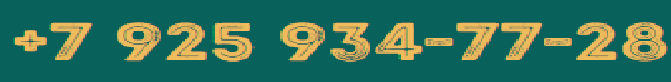 +7 925 934-77-28